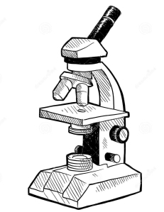 microscopiomonocular